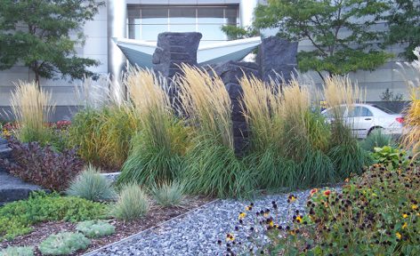 A garden with grass and flowers in front of a building.