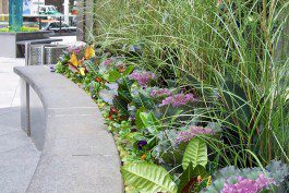 A sidewalk with plants and flowers on it