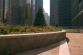 A garden in the middle of a city.