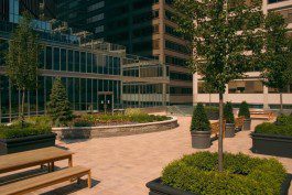 A large courtyard with benches and trees.