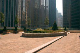 A city park with trees and benches in the background.