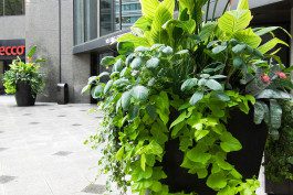 A planter filled with green plants on top of a sidewalk.