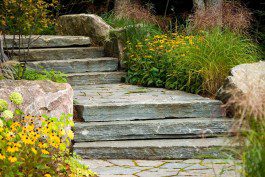 A stone stairway leading to a flower garden.