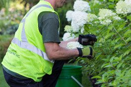 A man in yellow vest and gloves holding white flowers.