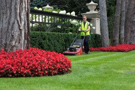 A man in yellow vest using lawn mower on green grass.