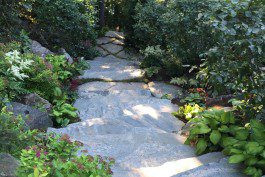 A stone path with plants growing around it.