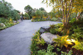 A driveway with plants and rocks in it