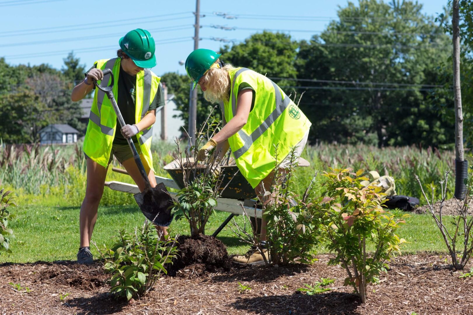 Two people in hard hats and safety vests working on a garden.