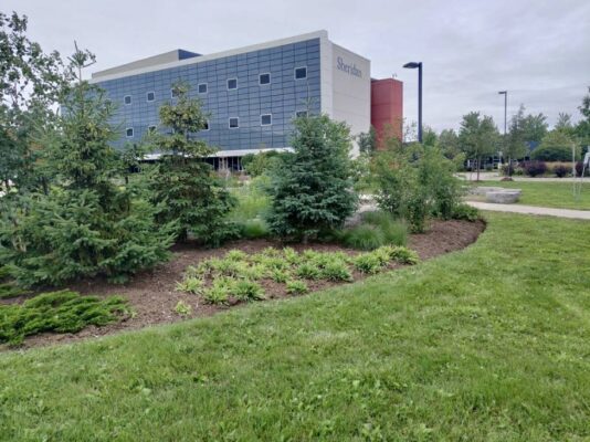 A green lawn with trees and bushes in front of a building.