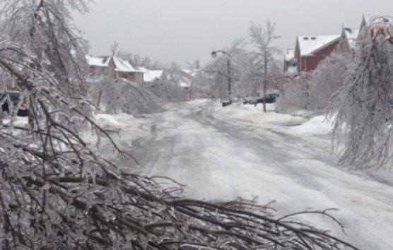 A white truck with a plow in the back.